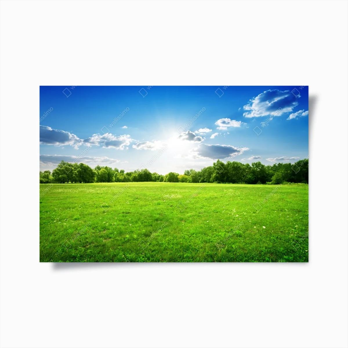 Poster sonnige grüne wiese – Wallnifity® Poster sonnige grüne wiese – Wallnifity®