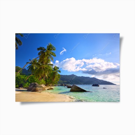 Poster tropischer strand auf Mahé – Wallnifity®