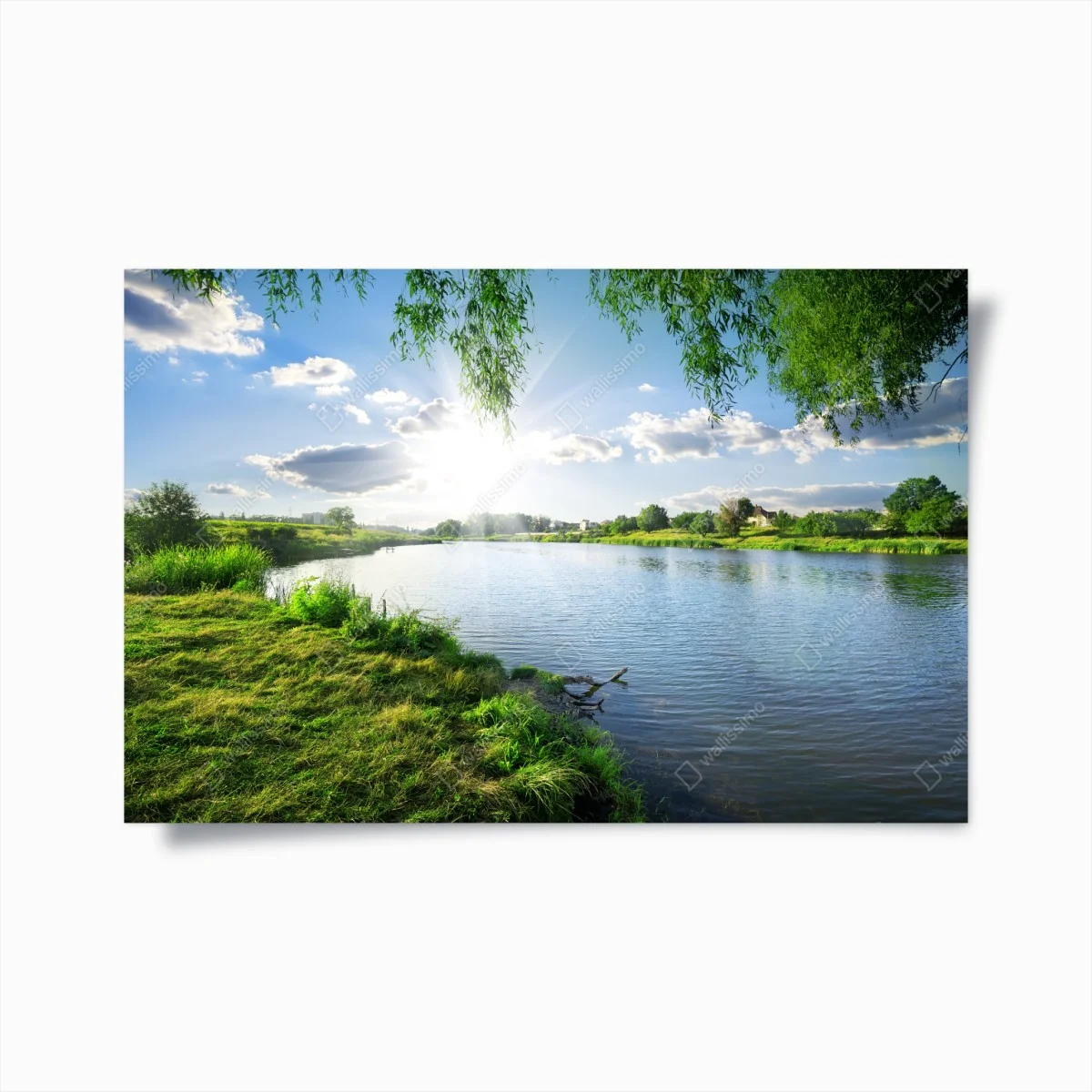 Poster sonnenbeschienenes flussufer mit üppigem grün – Wallnifity® Poster sonnenbeschienenes flussufer mit üppigem grün – Wallnifity®