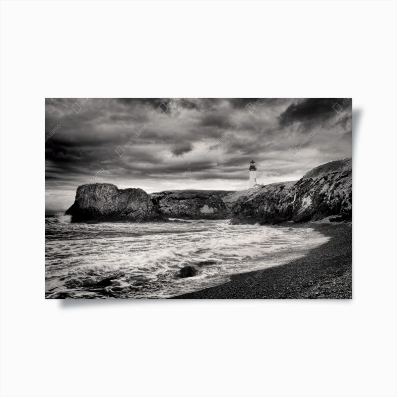 Poster zebra auf der wüstenstraße – Wallnifity®