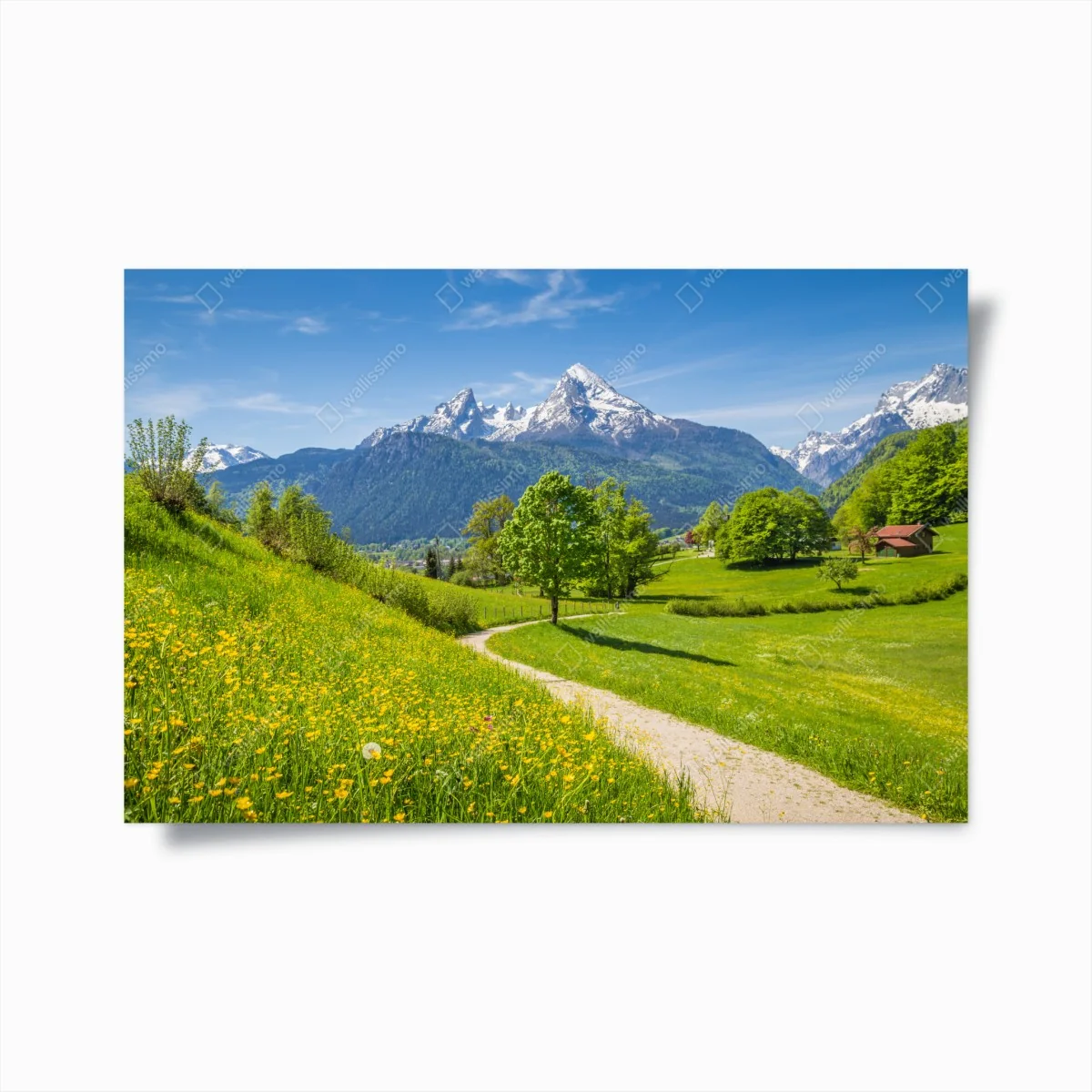 Poster alpine frühlingswiese mit schneebedeckten gipfeln – Wallnifity® Poster alpine frühlingswiese mit schneebedeckten gipfeln – Wallnifity®
