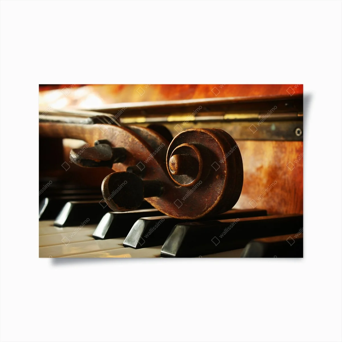 Poster vintage geigenkopf auf klaviertasten – Wallnifity®