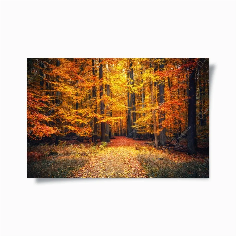 Poster herbstlicher waldpfad mit goldenen blättern
