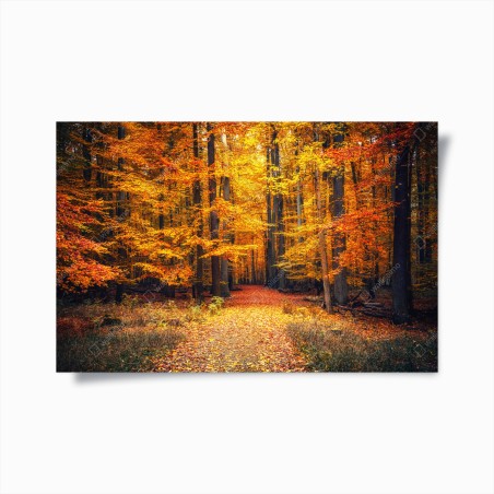 Poster herbstlicher waldpfad mit goldenen blättern – Wallnifity®