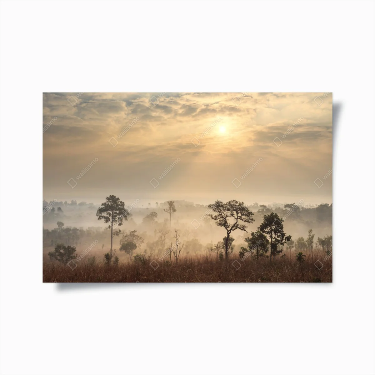 Poster Thailand sawanne bei sonnenaufgang – Wallnifity® Poster Thailand sawanne bei sonnenaufgang – Wallnifity®