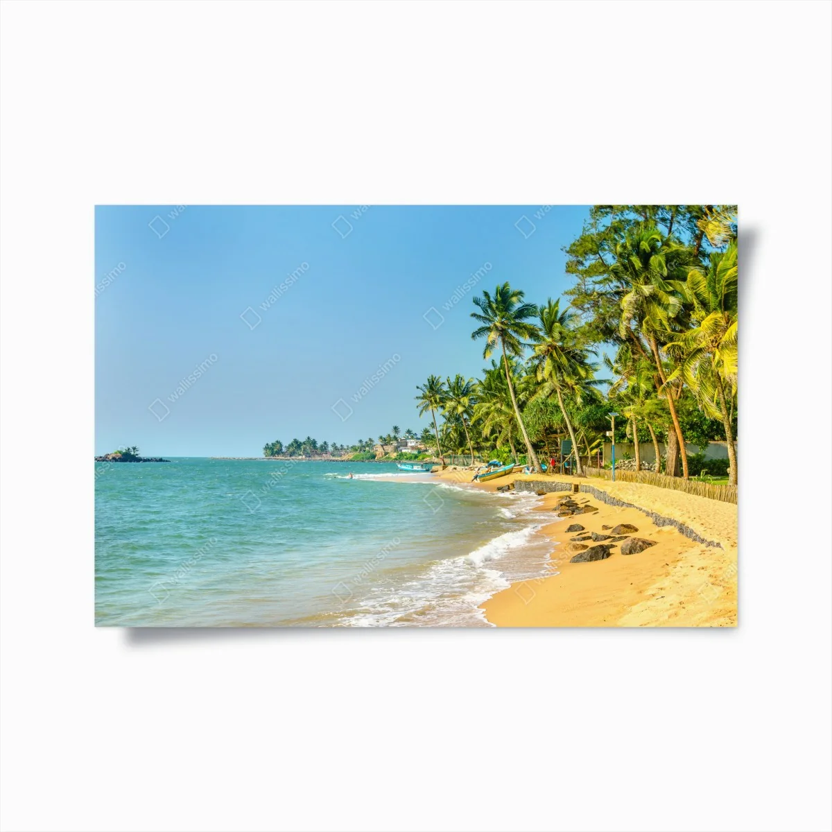 Poster tropischer palmenstrand – Wallnifity®