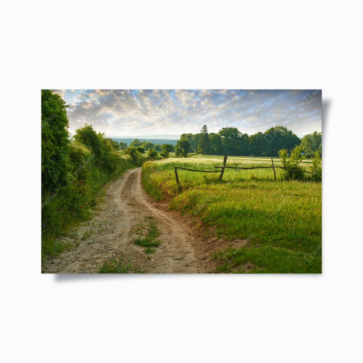 Poster sonniger landweg durch grüne wiesen – Wallnifity®