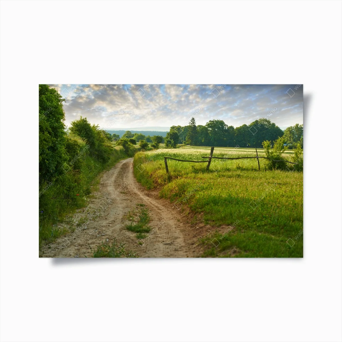 Poster sonniger landweg durch grüne wiesen – Wallnifity® Poster sonniger landweg durch grüne wiesen – Wallnifity®