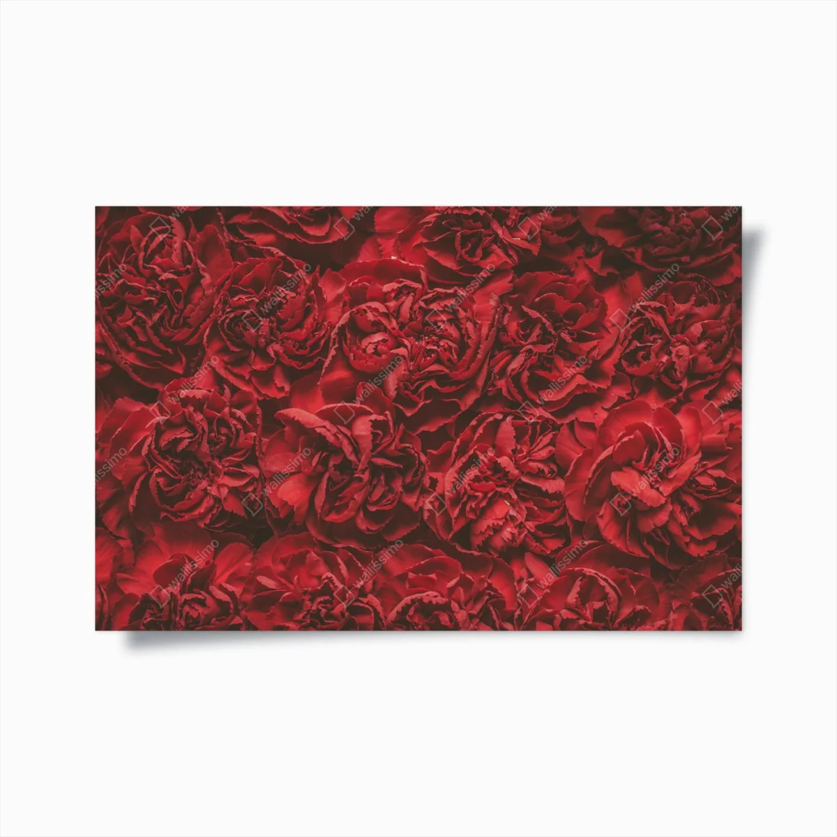 Poster vintage rote nelken blumenmuster – Wallnifity®