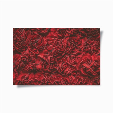 Poster vintage rote nelken blumenmuster – Wallnifity®