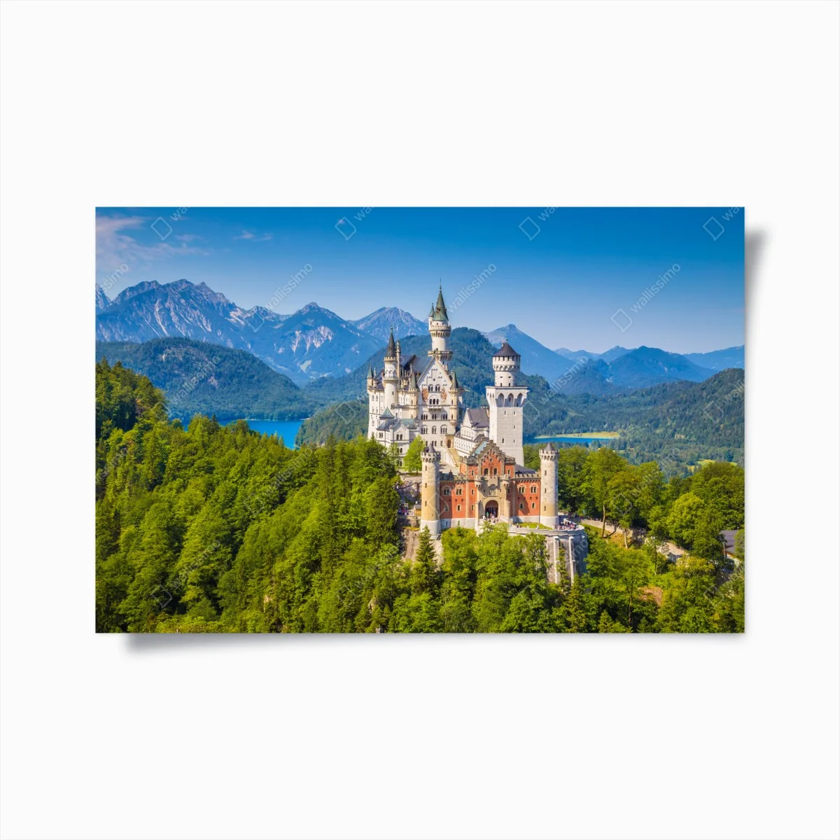 Poster schloss Neuschwanstein in alpiner landschaft – Wallnifity® Poster schloss Neuschwanstein in alpiner landschaft – Wallnifity®