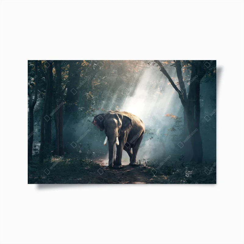 Poster majestätischer elefant im sonnenlichtdurchfluteten wald