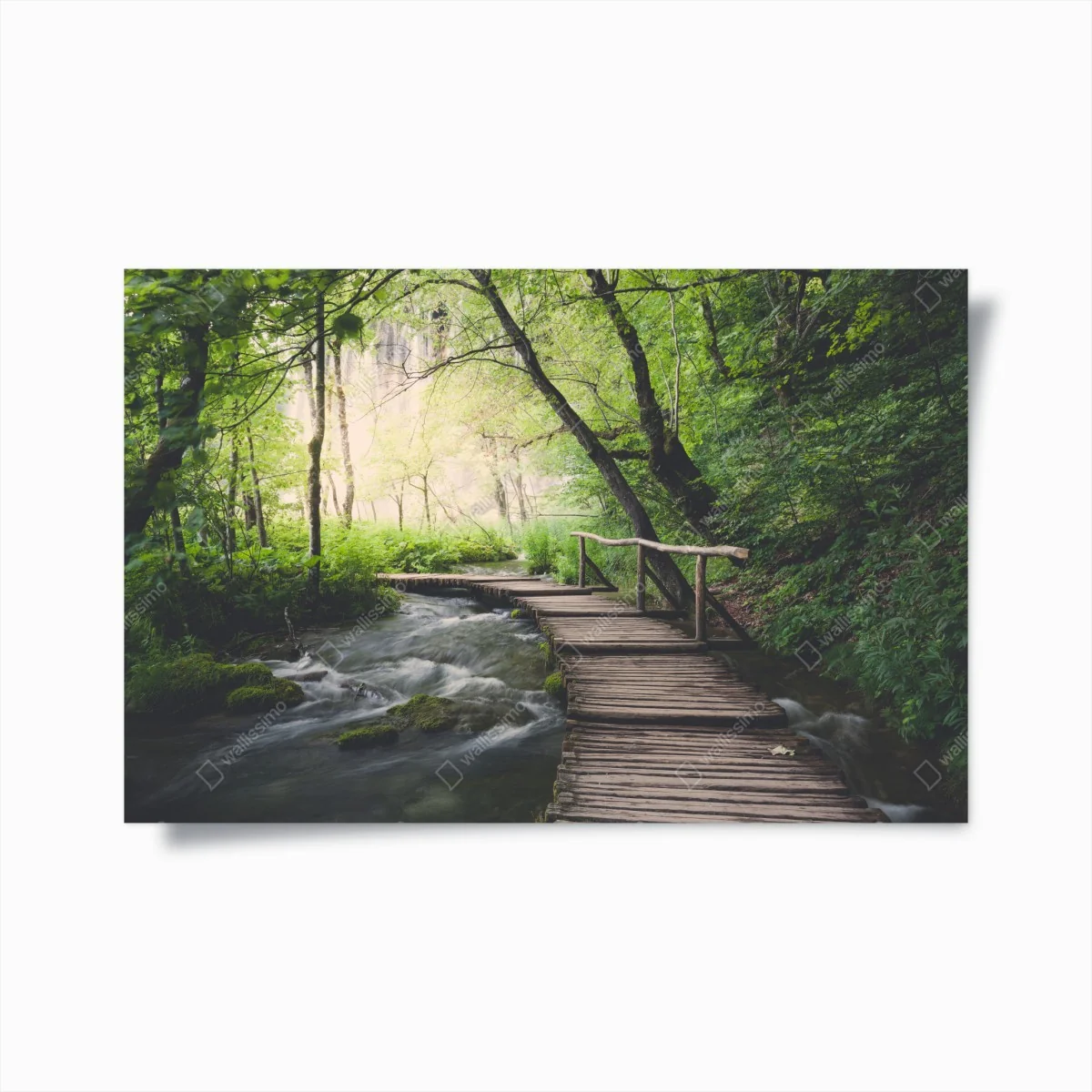 Poster ruhiger hölzerner steg durch grünen wald – Wallnifity® Poster ruhiger hölzerner steg durch grünen wald – Wallnifity®
