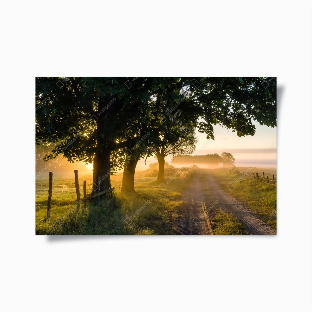 Poster sonnenbeschienener landweg im morgendunst – Wallnifity® Poster sonnenbeschienener landweg im morgendunst – Wallnifity®
