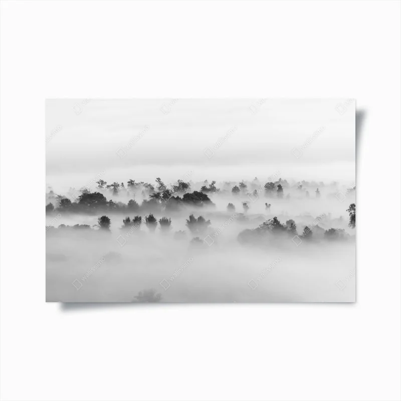 Poster leuchtende mexikanische sonnenblume auf schwarzem hintergrund – Wallnifity®