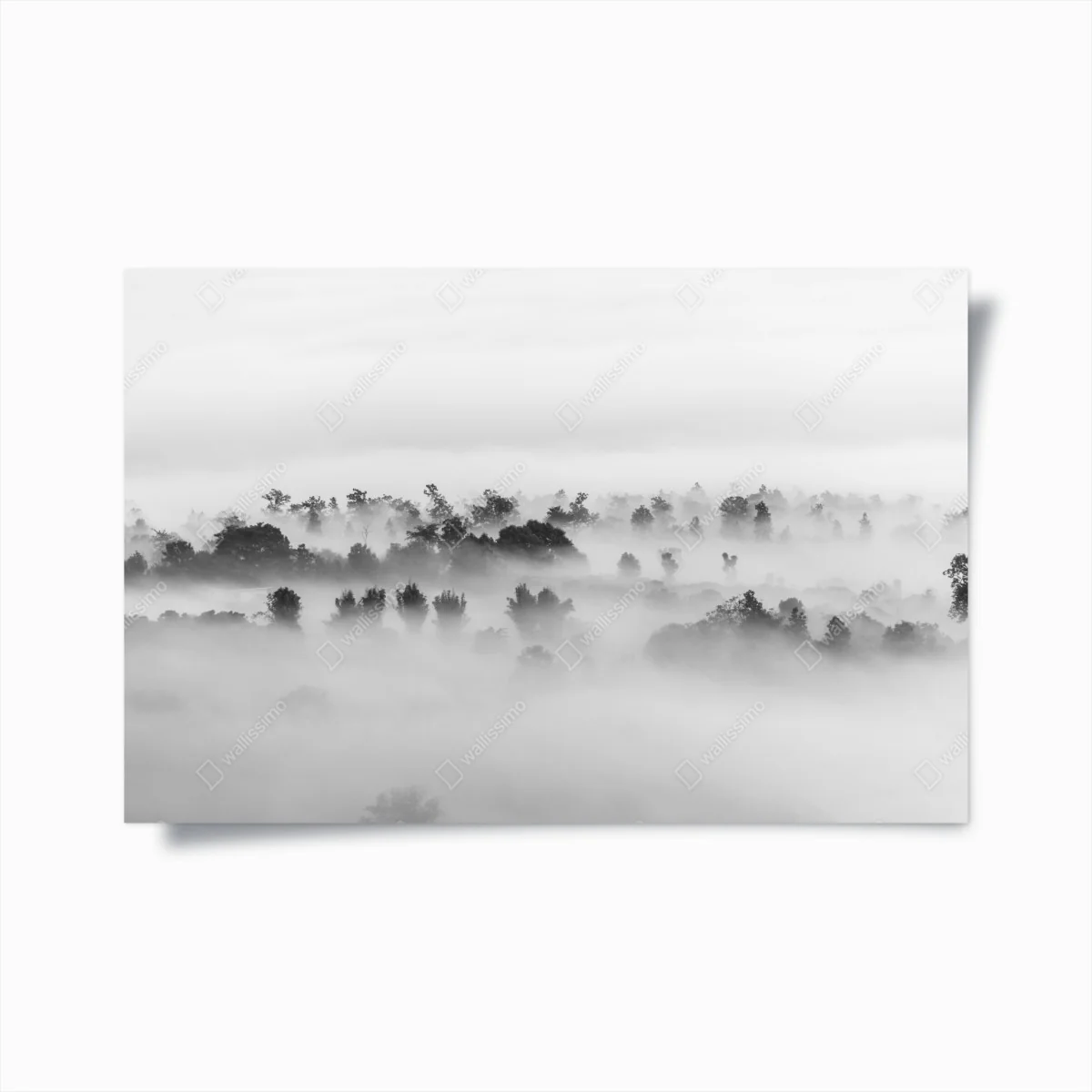 Poster nebliger wald in monochrom – Wallnifity® Poster nebliger wald in monochrom – Wallnifity®