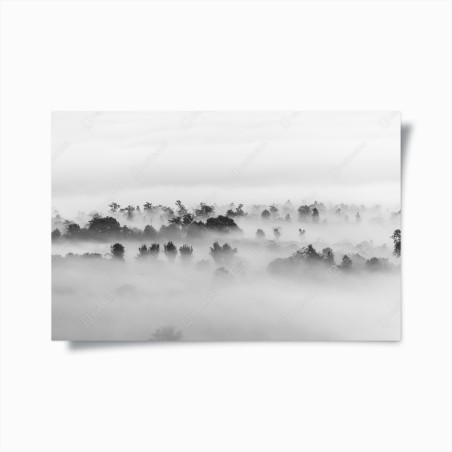 Poster nebliger wald in monochrom – Wallnifity®