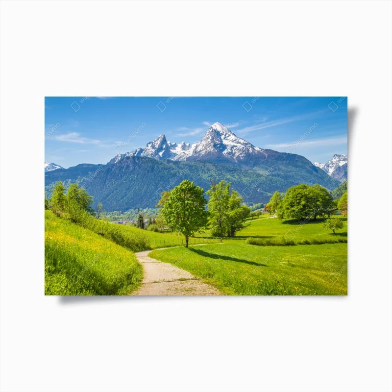 Poster ruhige alpenwiese mit berggipfeln