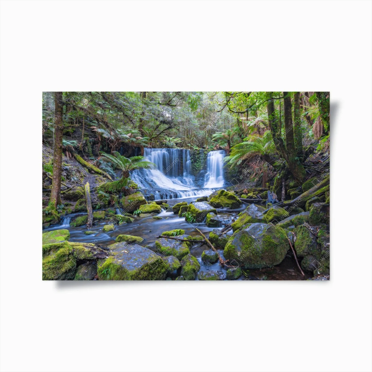 Poster friedlicher waldwasserfall – Wallnifity® Poster friedlicher waldwasserfall – Wallnifity®