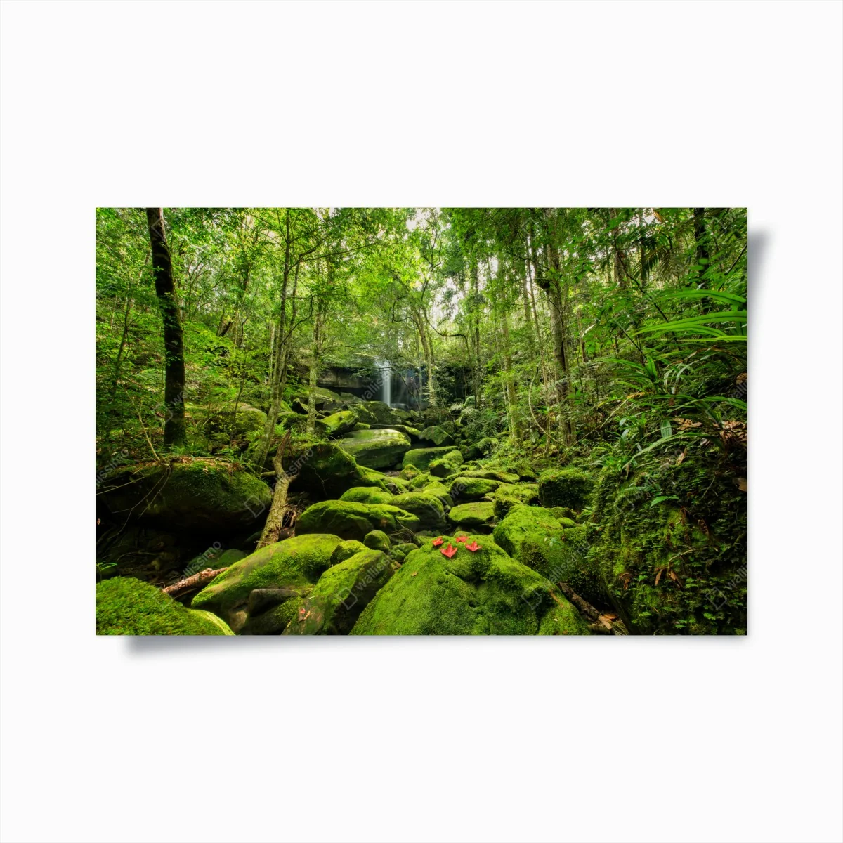 Poster üppiger moosbewachsener wasserfall im tropischen wald – Wallnifity® Poster üppiger moosbewachsener wasserfall im tropischen wald – Wallnifity®