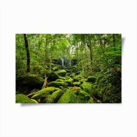 Poster üppiger moosbewachsener wasserfall im tropischen wald – Wallnifity®