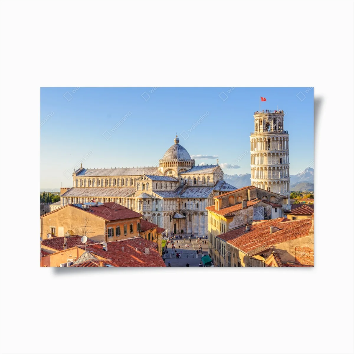 Poster sonnenbeschienener blick auf den dom von Pisa und den schiefen turm – Wallnifity®