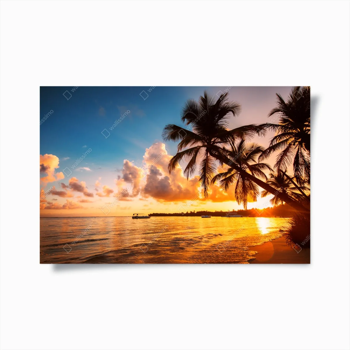 Poster tropischer sonnenuntergang mit palmensilhouetten, Dominikanische Republik – Wallnifity® Poster tropischer sonnenuntergang mit palmensilhouetten, Dominikanische Republik – Wallnifity®