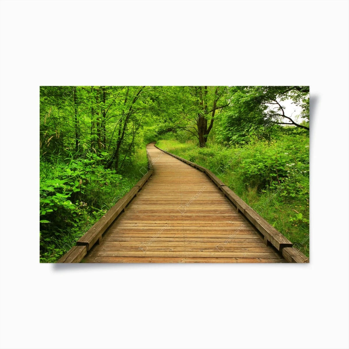 Poster ruhiger holzsteg im wald – Wallnifity®