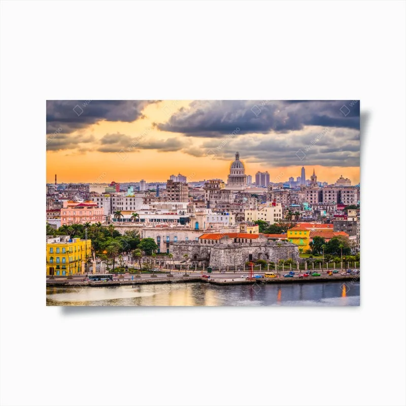 Poster ruhevoller lotus in graustufen – Wallnifity®