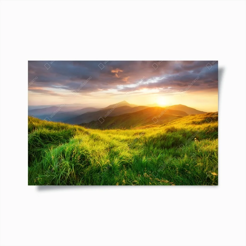 Poster sonnige bergwiese bei sonnenaufgang