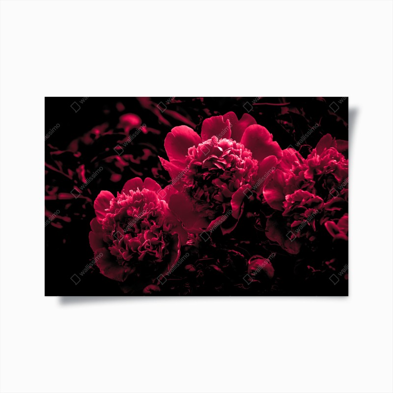Poster schwarze marmortextur – Wallnifity®