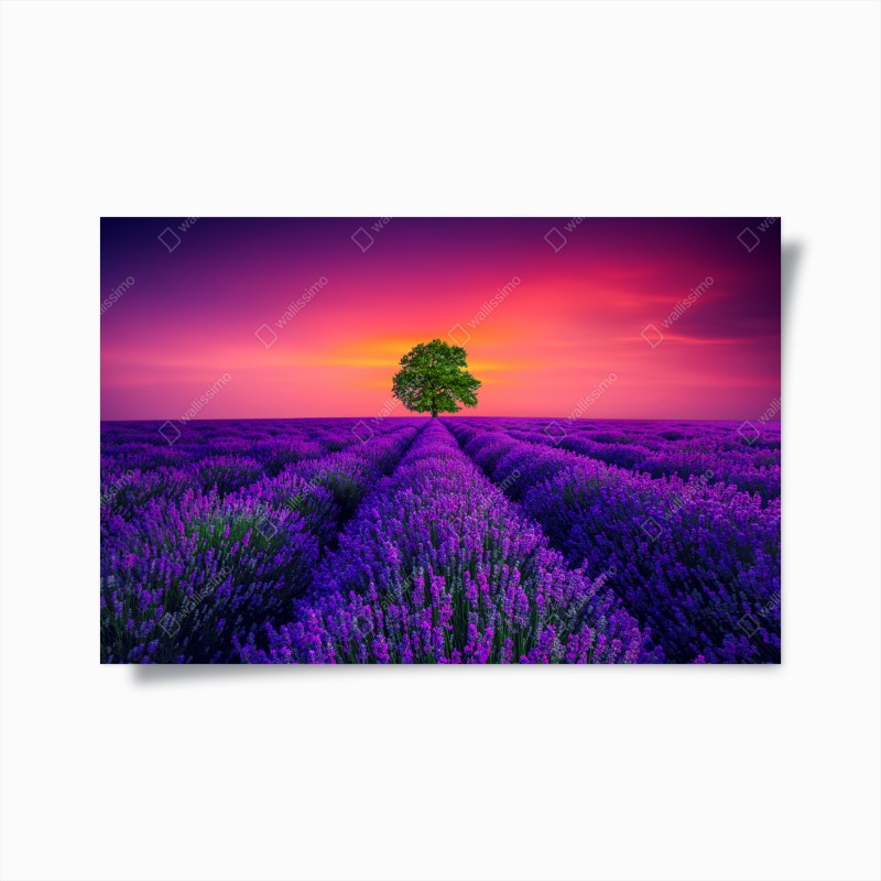 Poster tiefblauer sternenhimmel – Wallnifity®
