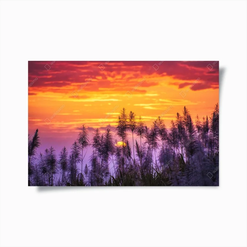 Poster verspieltes tiger dschungel muster – Wallnifity®