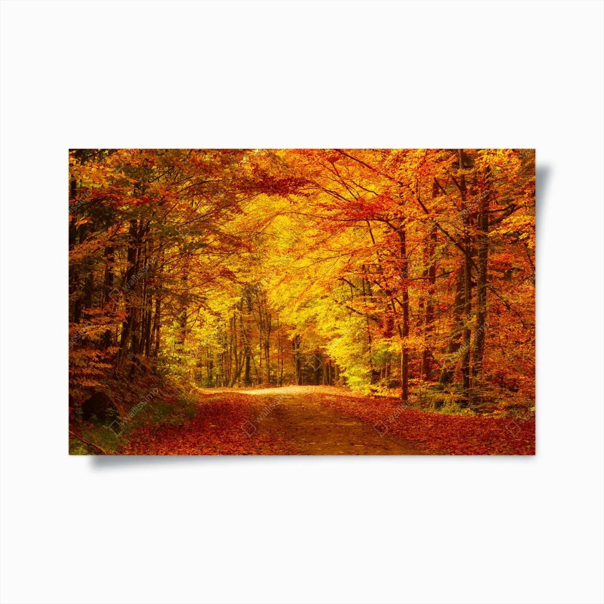 Poster goldener herbstwaldweg – Wallnifity®