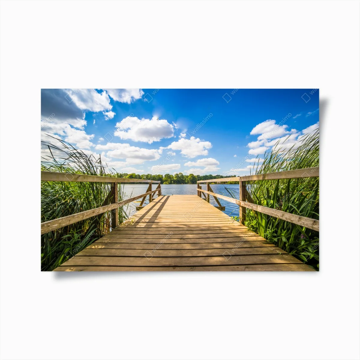 Poster sonniger steg am see – Wallnifity®