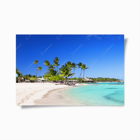 Poster tropischer strand in Cap Cana – Wallnifity®