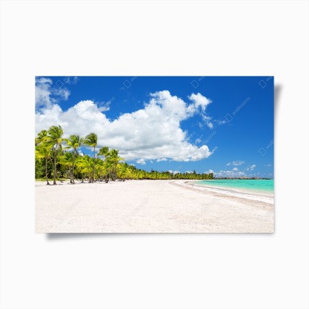 Poster tropischer strand in Punta Cana – Wallnifity®