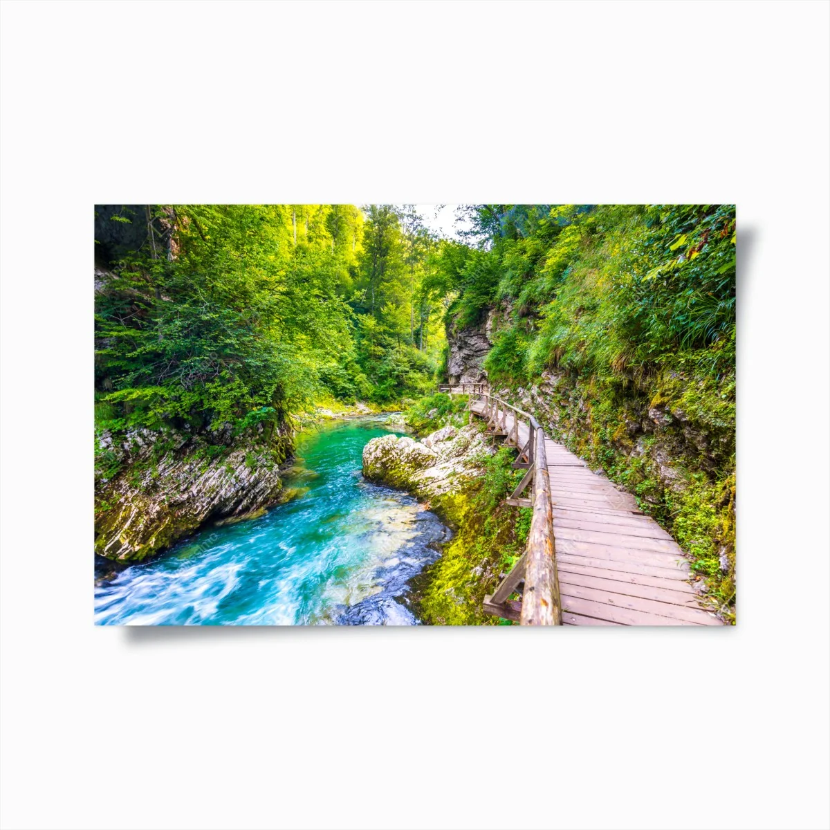 Poster türkisfarbener fluss und holzsteg im wald – Wallnifity® Poster türkisfarbener fluss und holzsteg im wald – Wallnifity®