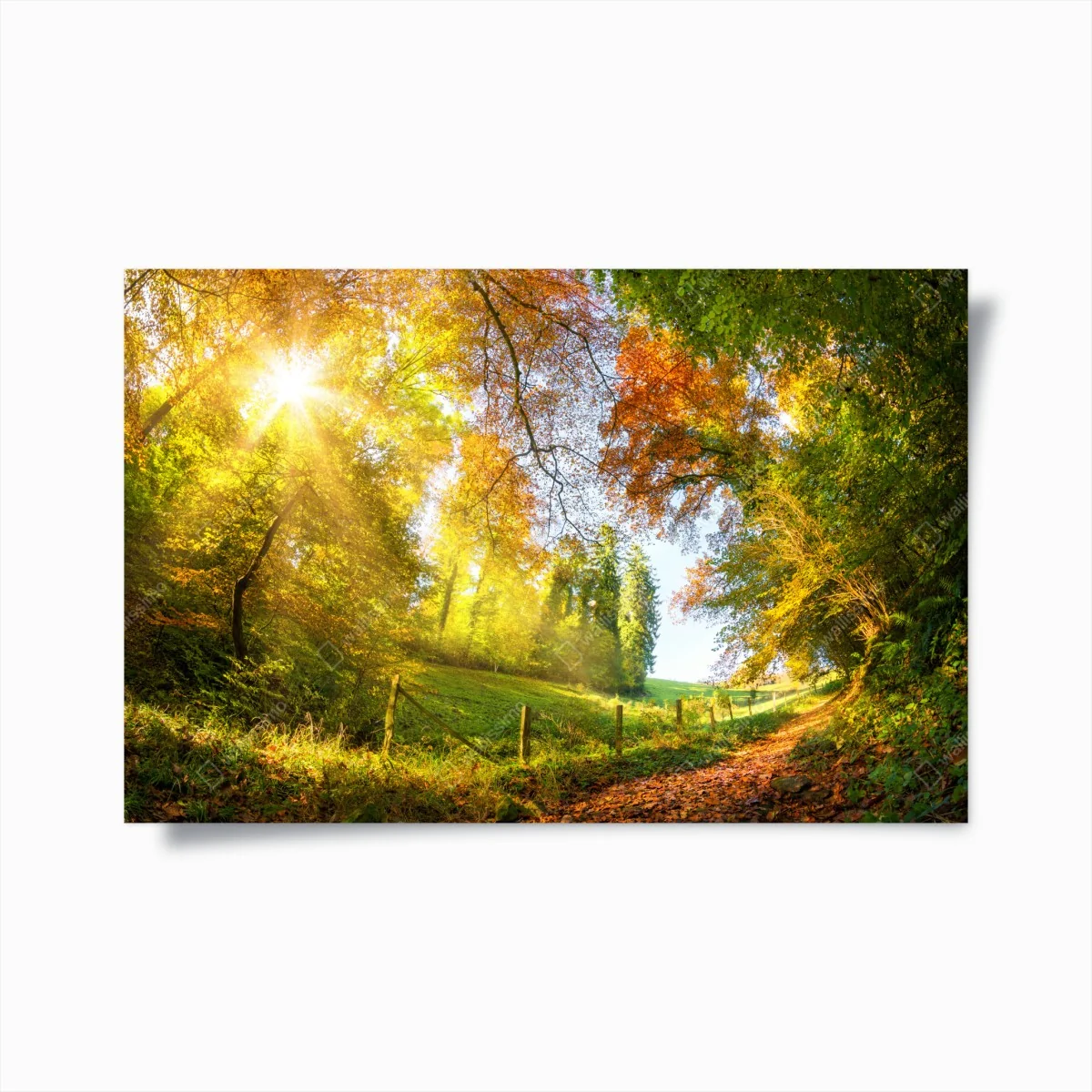 Poster goldener herbstwaldweg – Wallnifity® Poster goldener herbstwaldweg – Wallnifity®