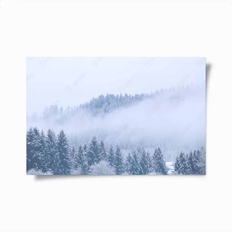 Poster winternebel über nadelwald