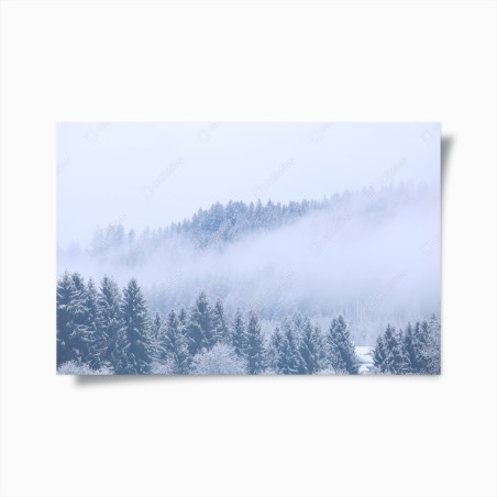 Poster winternebel über nadelwald – Wallnifity®