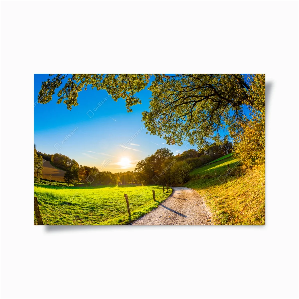 Poster sonnenbeschienene wiese mit landweg bei sonnenuntergang – Wallnifity®