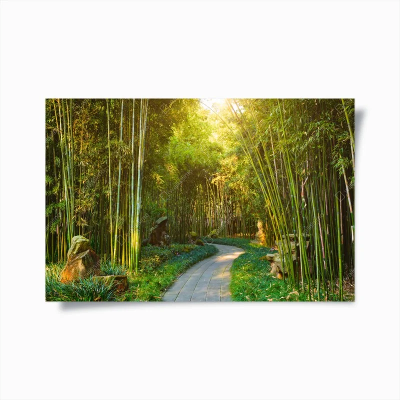 Poster ruhiger bambuswald mit pfad