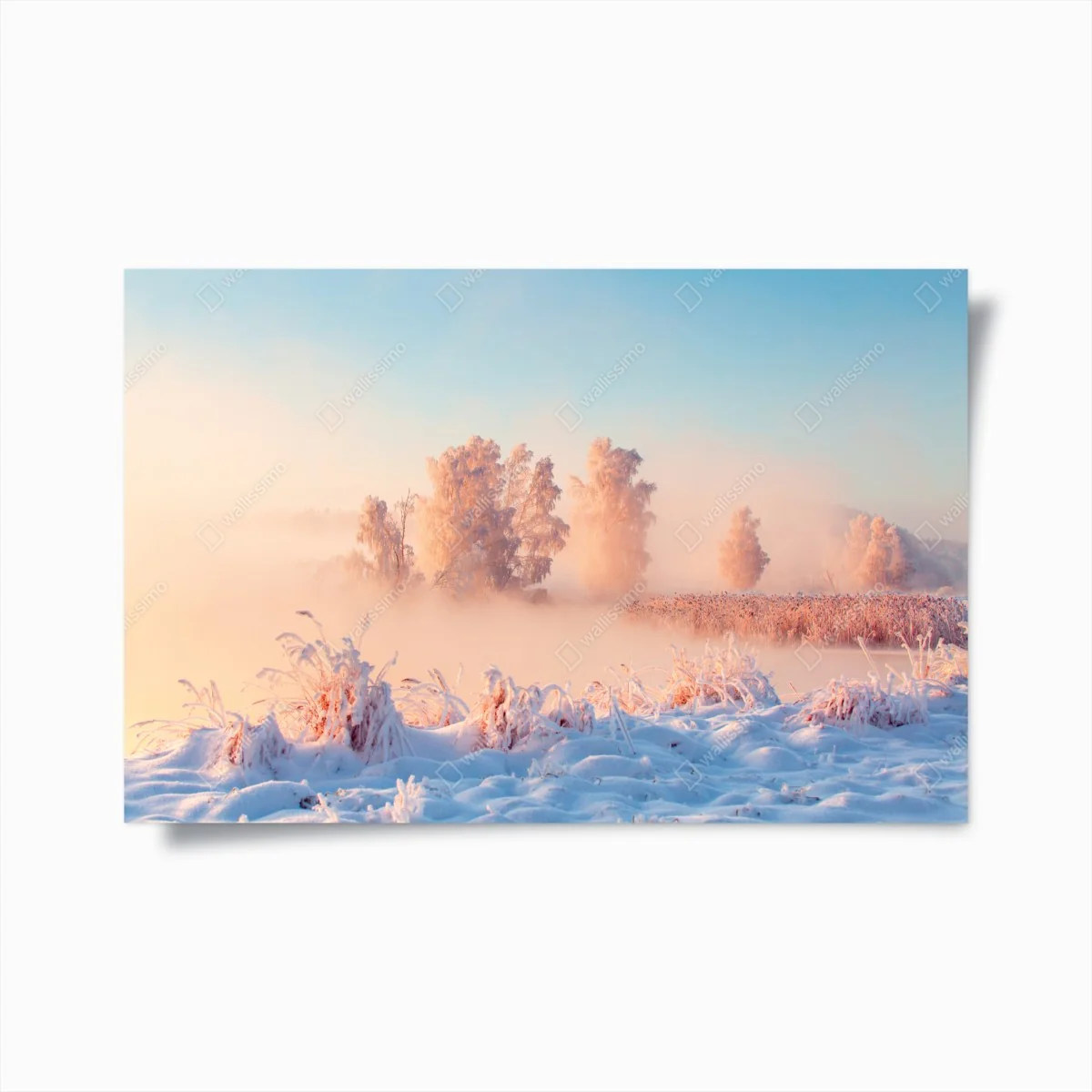 Poster winterlicher sonnenaufgang über einer frostigen wiese – Wallnifity® Poster winterlicher sonnenaufgang über einer frostigen wiese – Wallnifity®