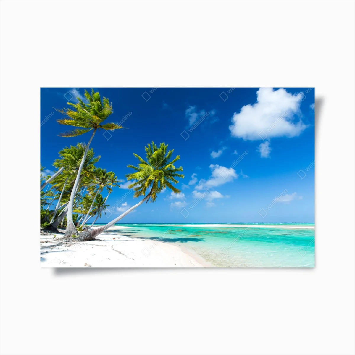Poster tropischer strand mit palmen und türkisfarbenem wasser – Wallnifity® Poster tropischer strand mit palmen und türkisfarbenem wasser – Wallnifity®