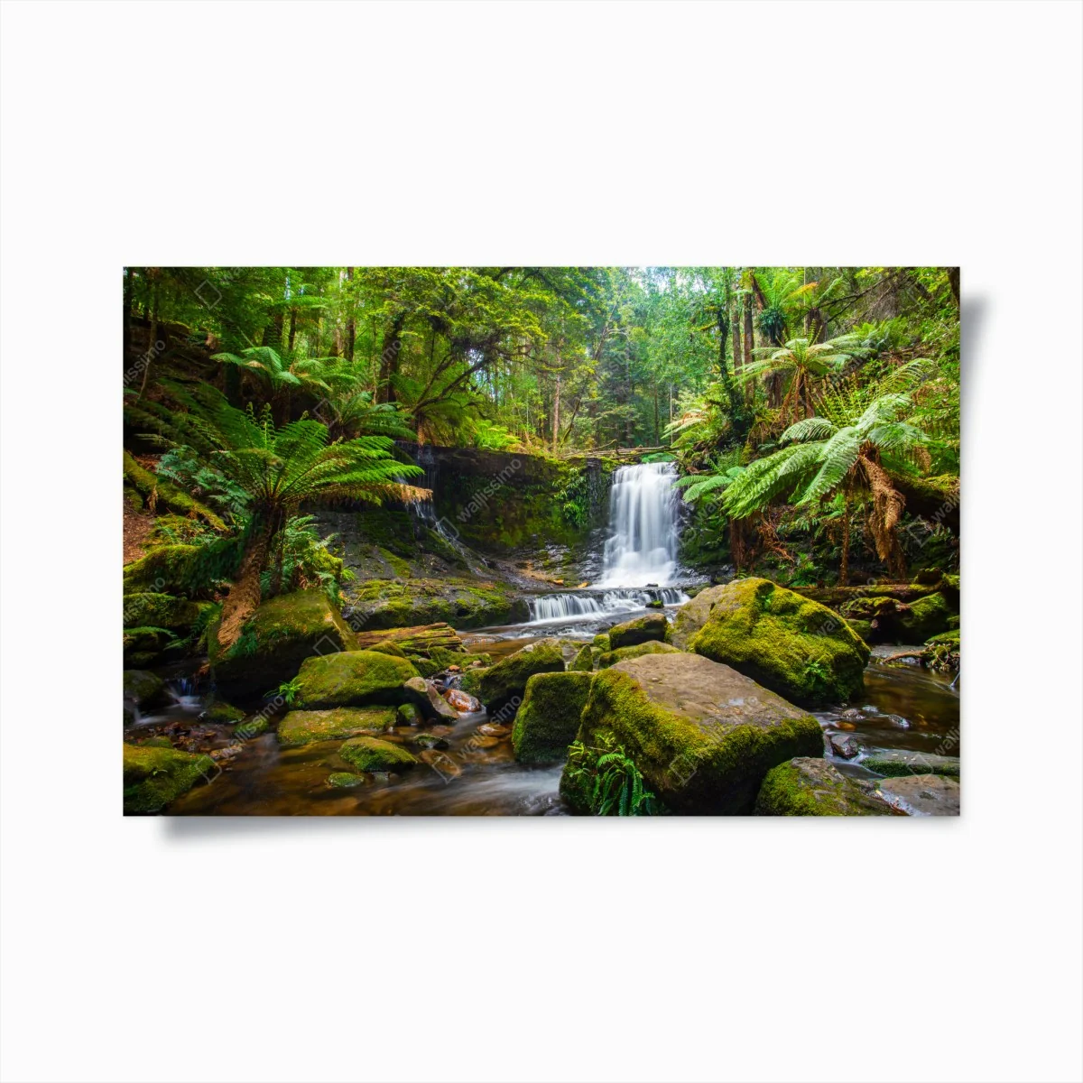 Poster üppiger waldwasserfall – Wallnifity®