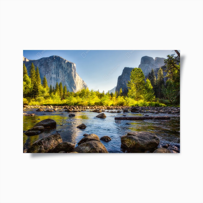 Poster nahaufnahme der hand auf dem griffbrett – Wallnifity®