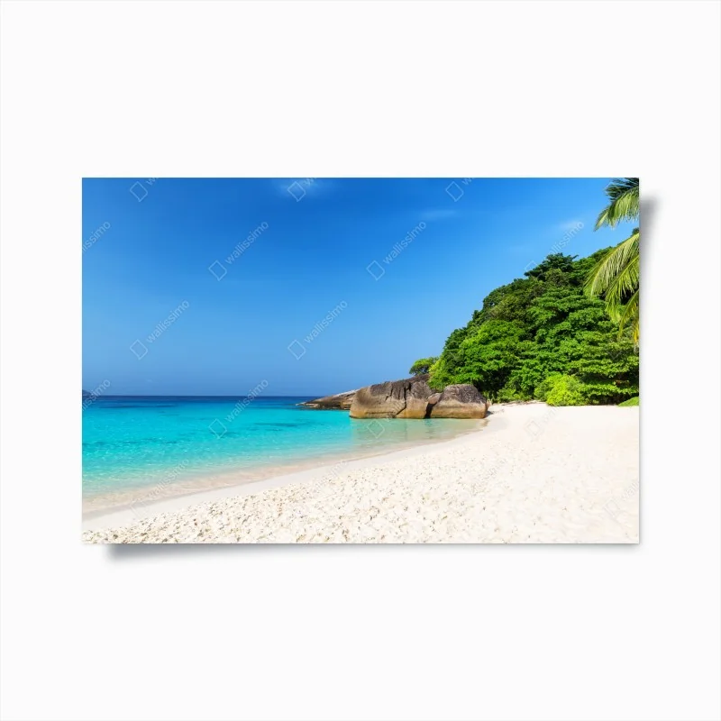 Poster zartes gelbes schleierkraut auf schwarzem hintergrund – Wallnifity®