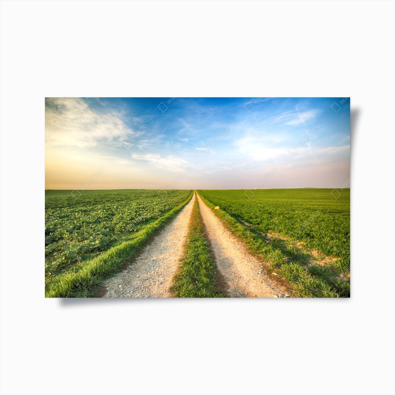 Poster küstenstadt unter der milchstraße – Wallnifity®