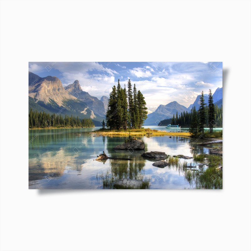 Poster zartes gelbes schleierkraut auf schwarzem hintergrund – Wallnifity®